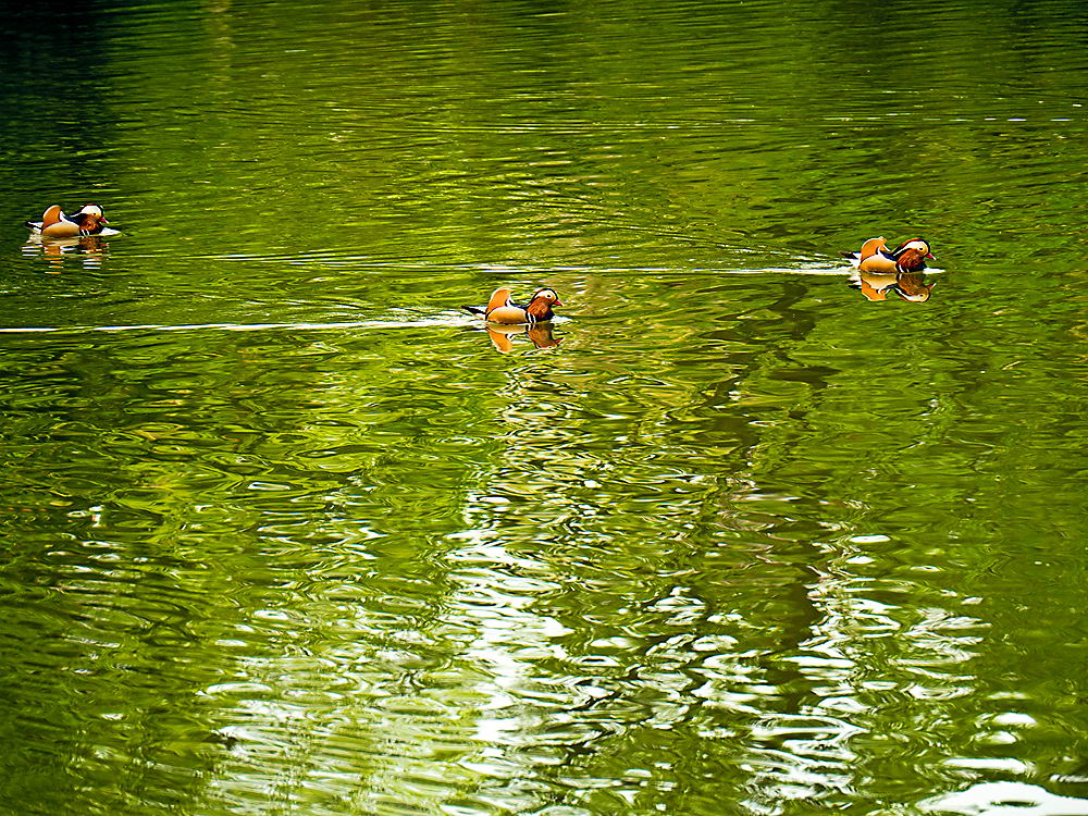 zur &Uuml;bersicht Jenseits der Hast 4