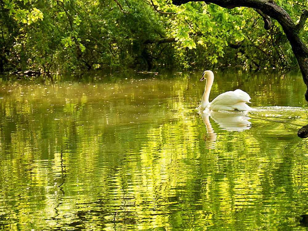 zur &Uuml;bersicht Jenseits der Hast 4