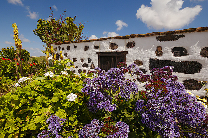 zur &Uuml;bersicht Fuerteventura