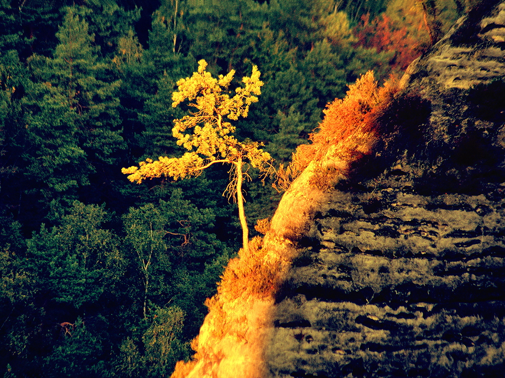 zur &Uuml;bersicht Lebensr&auml;ume 4