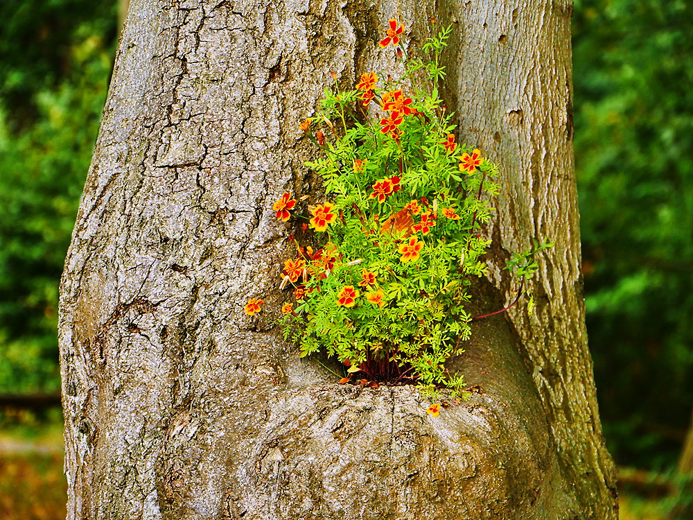 zur &Uuml;bersicht Lebensr&auml;ume 4