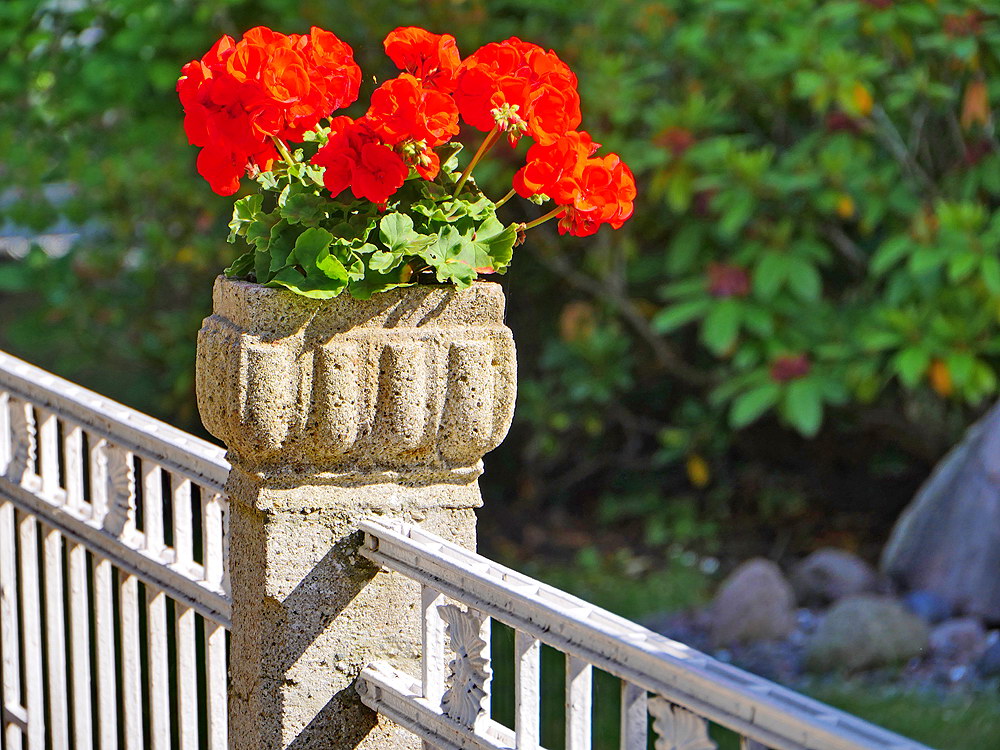 zur &Uuml;bersicht Lebensr&auml;ume 5