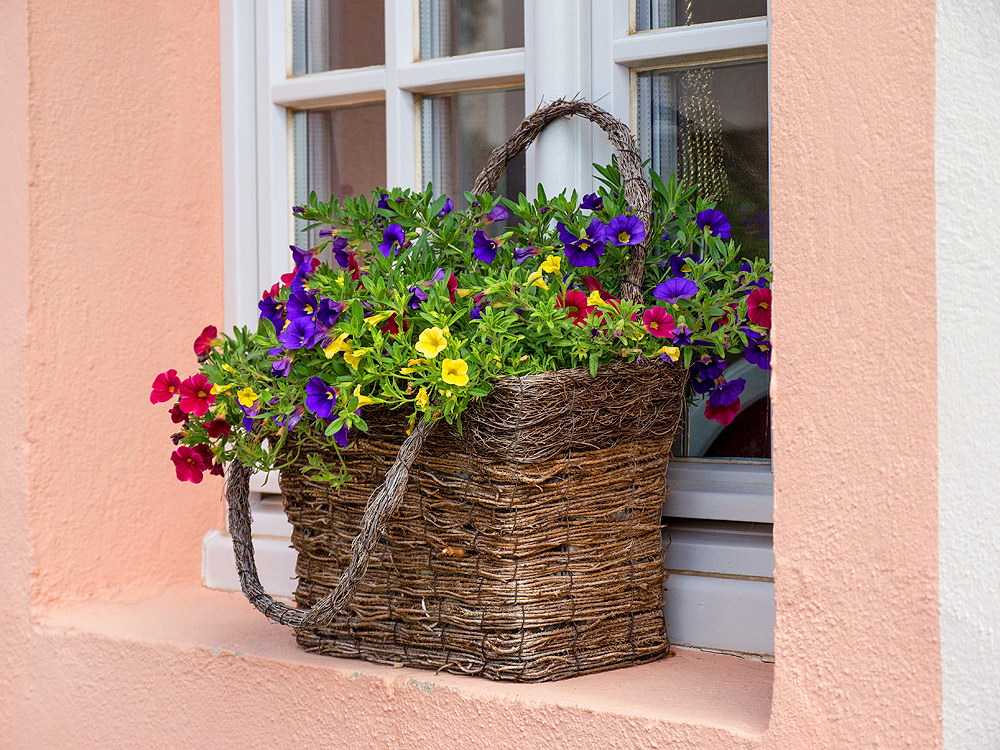 zur &Uuml;bersicht Lebensr&auml;ume 5