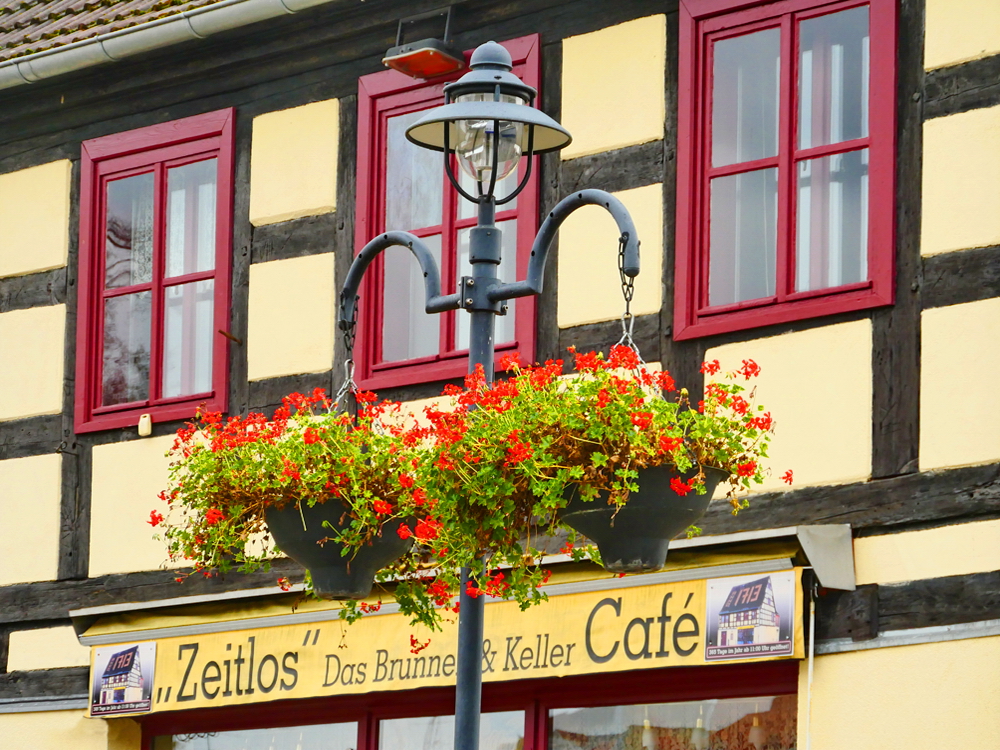 zur &Uuml;bersicht Lebensr&auml;ume 5