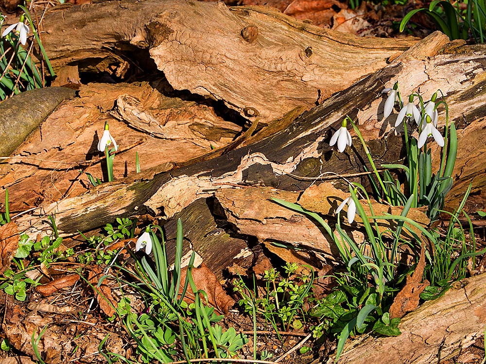 zur &Uuml;bersicht Lebensr&auml;ume 6