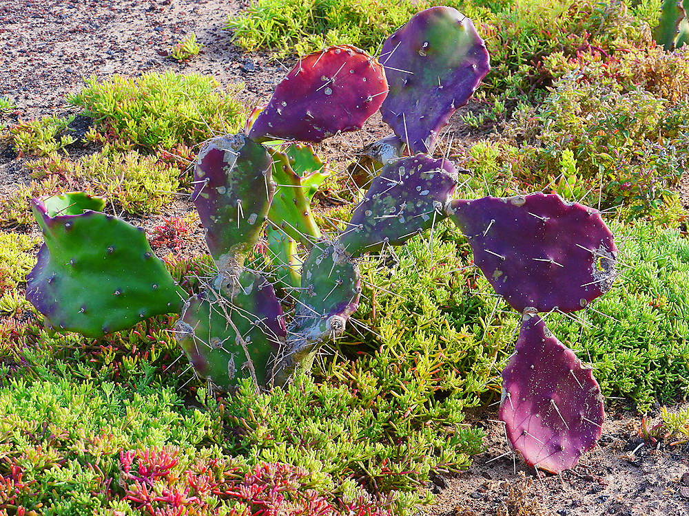 zur &Uuml;bersicht Lebensr&auml;ume 6