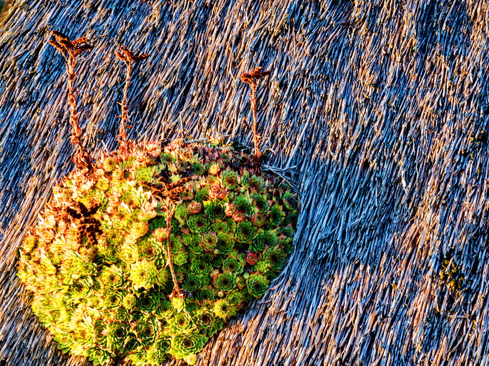 zur &Uuml;bersicht Lebensr&auml;ume 6