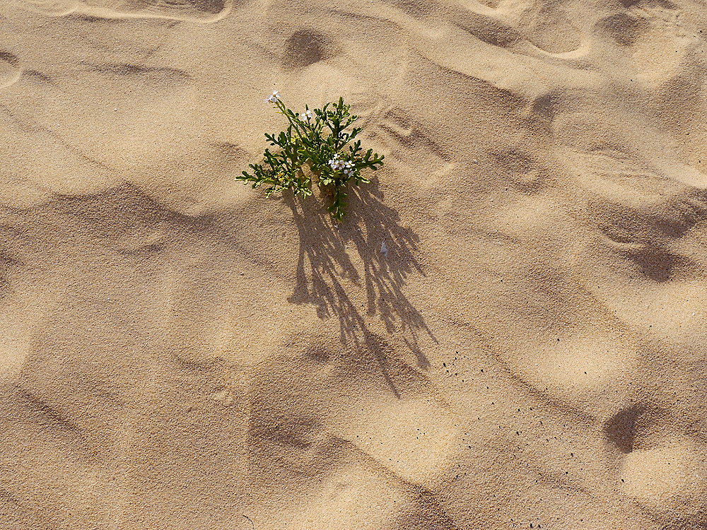 zur &Uuml;bersicht Lebensr&auml;ume 7