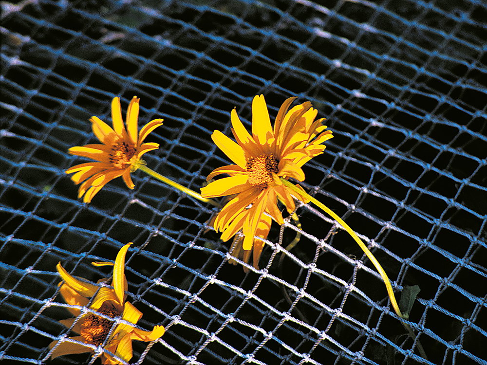 zur &Uuml;bersicht Lebensr&auml;ume 7