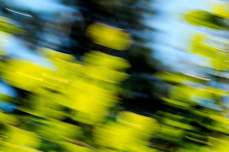 zur &Uuml;bersicht Mit Licht gemalt 4