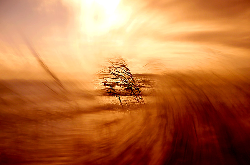 zur &Uuml;bersicht Mit Licht gemalt 4