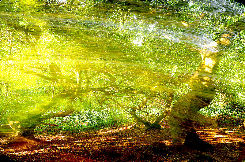 zur &Uuml;bersicht Mit Licht gemalt 5