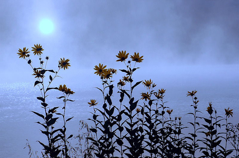 zur &Uuml;bersicht Nebel 5