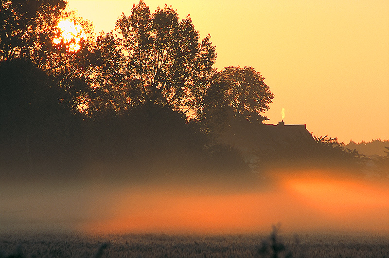 zur &Uuml;bersicht Nebel 5