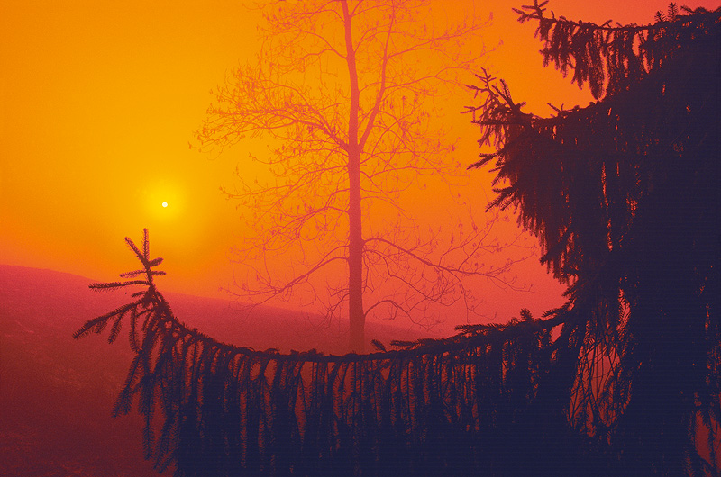 zur &Uuml;bersicht Nebel 5