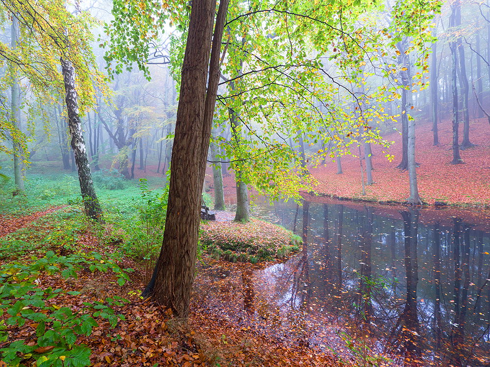 zur &Uuml;bersicht Nebel 6