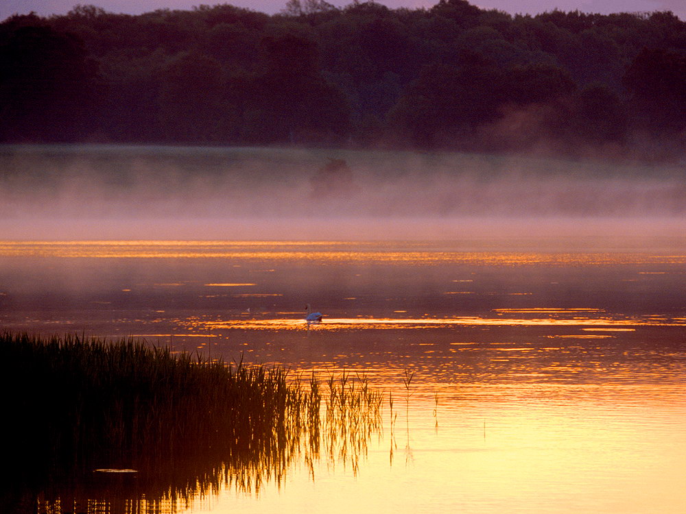 zur &Uuml;bersicht Nebel 6