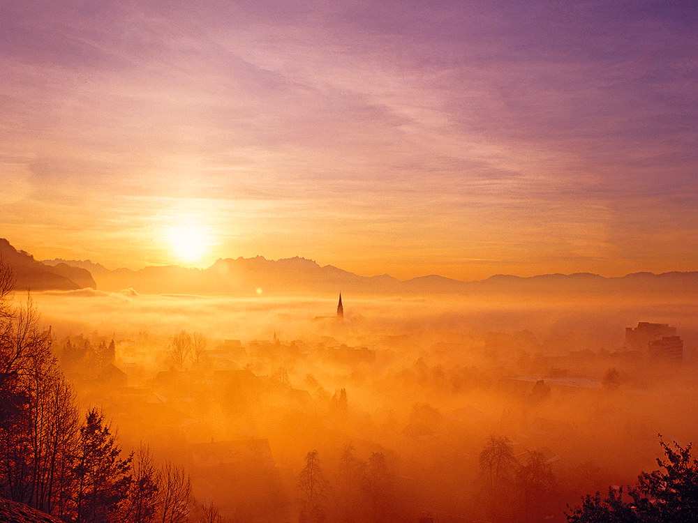 zur &Uuml;bersicht Nebel 6