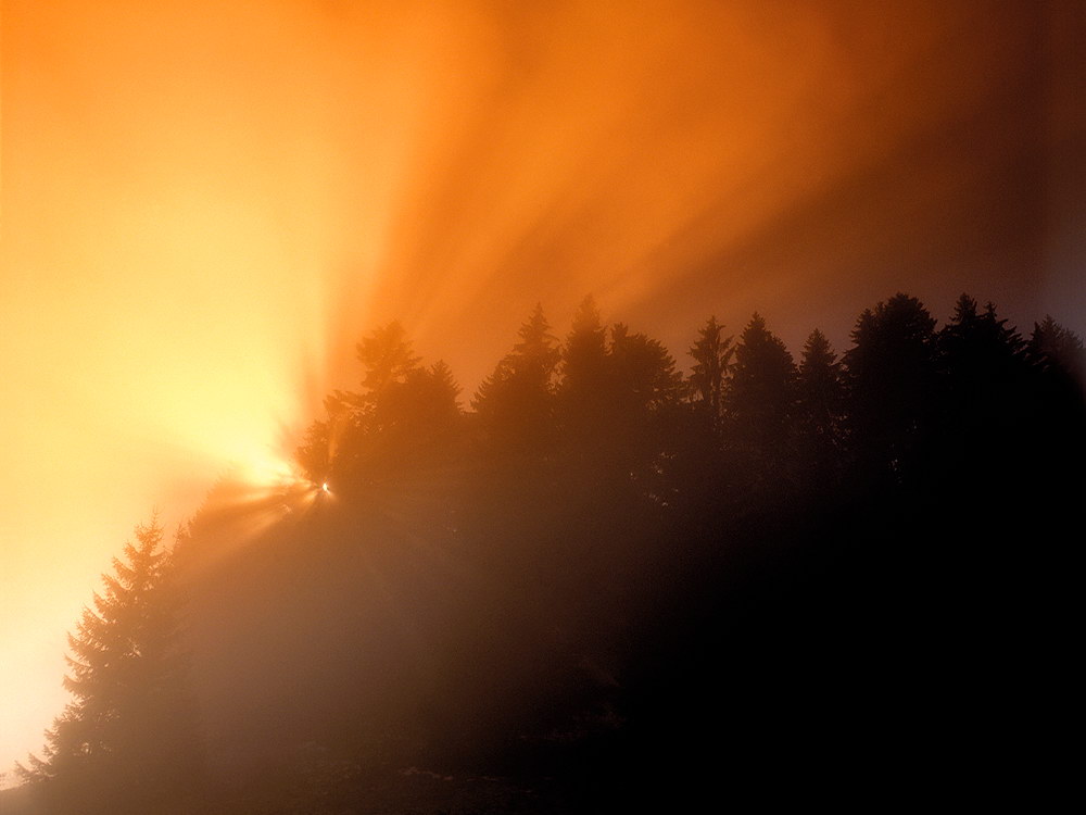 zur &Uuml;bersicht Nebel 6