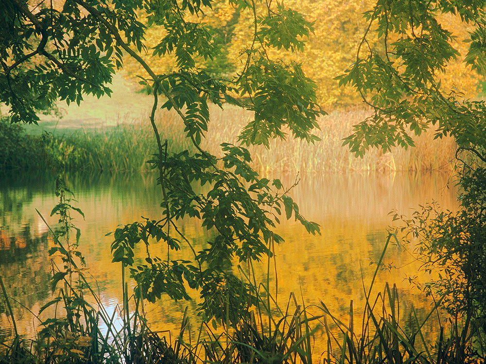 zur &Uuml;bersicht Nebel 6