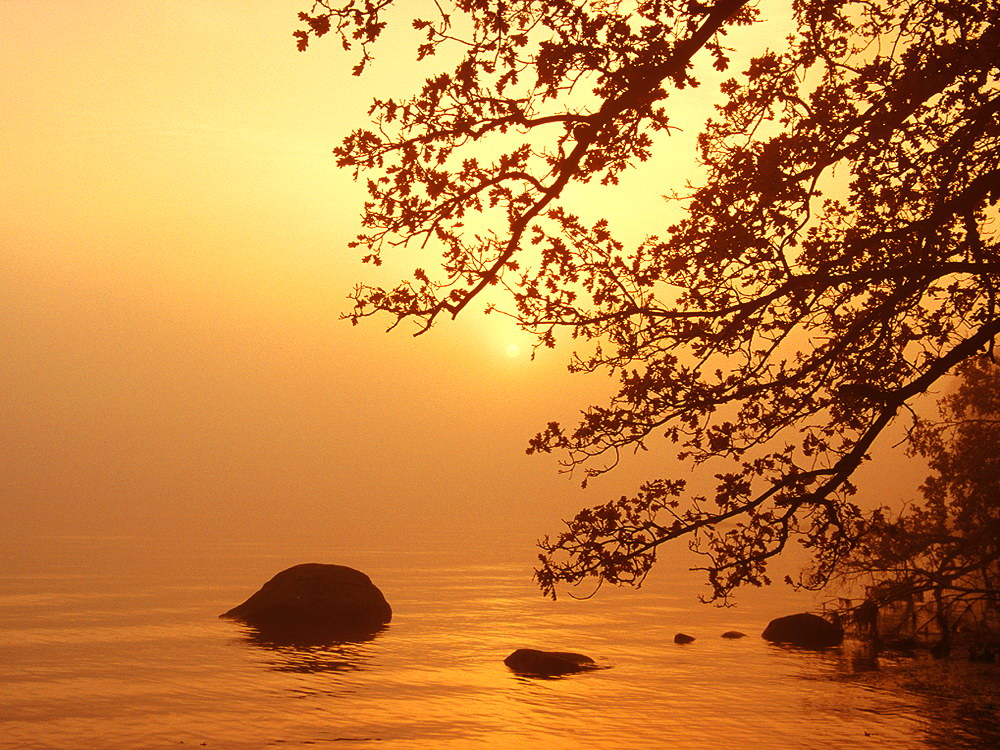 zur &Uuml;bersicht Nebel 6