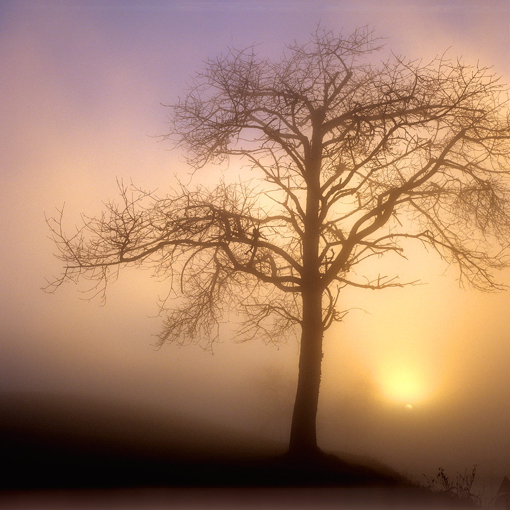 zur &Uuml;bersicht Nebel 7