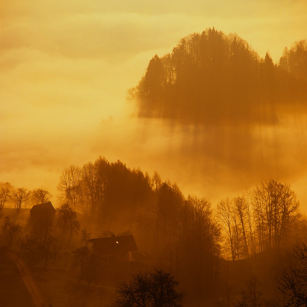zur &Uuml;bersicht Nebel 7