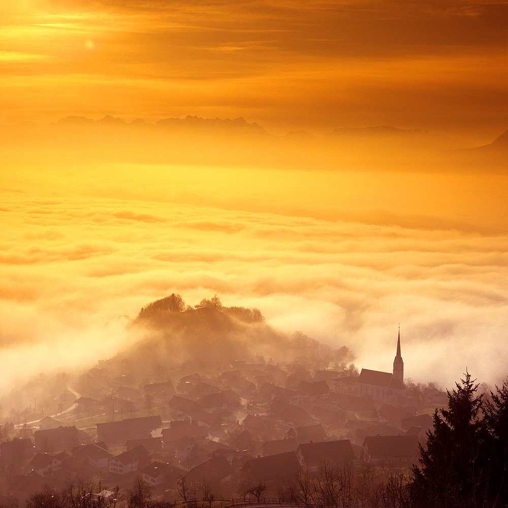zur &Uuml;bersicht Nebel 7