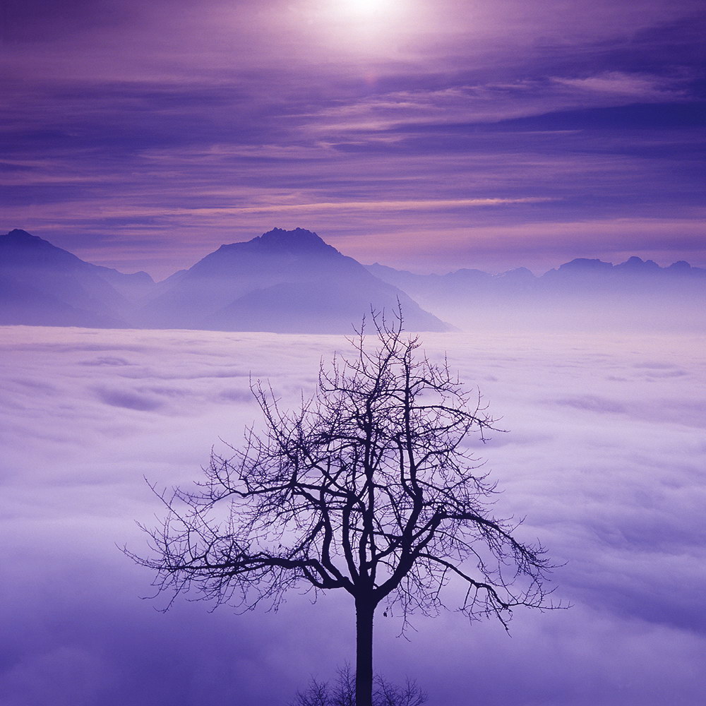 zur &Uuml;bersicht Nebel 7