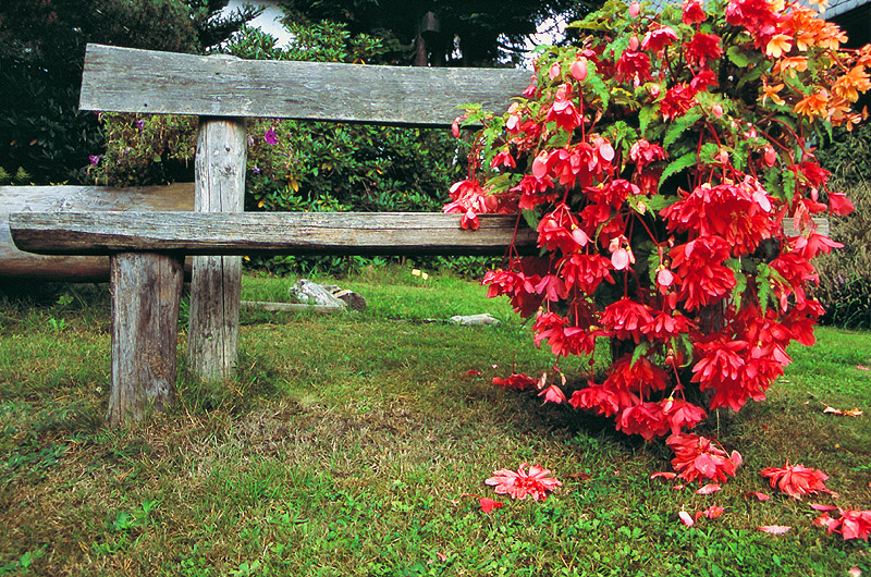 zur &Uuml;bersicht Rast und Ruh 3
