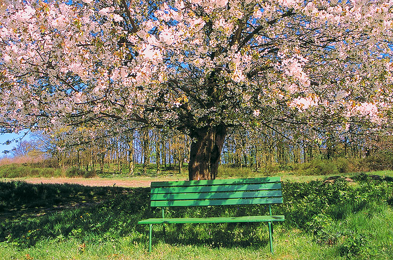 zur &Uuml;bersicht Rast und Ruh 4
