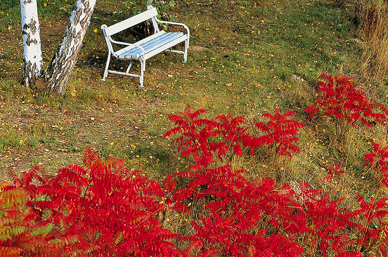 zur &Uuml;bersicht Rast und Ruh 5