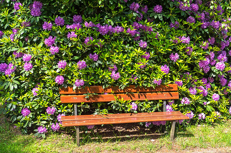 zur &Uuml;bersicht Rast und Ruh 5