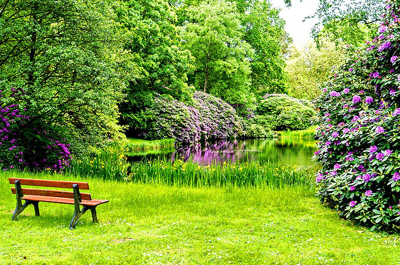 zur &Uuml;bersicht Rast und Ruh 5
