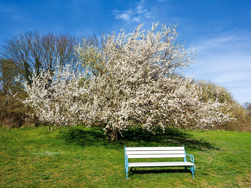 zur &Uuml;bersicht Rast und Ruh 6
