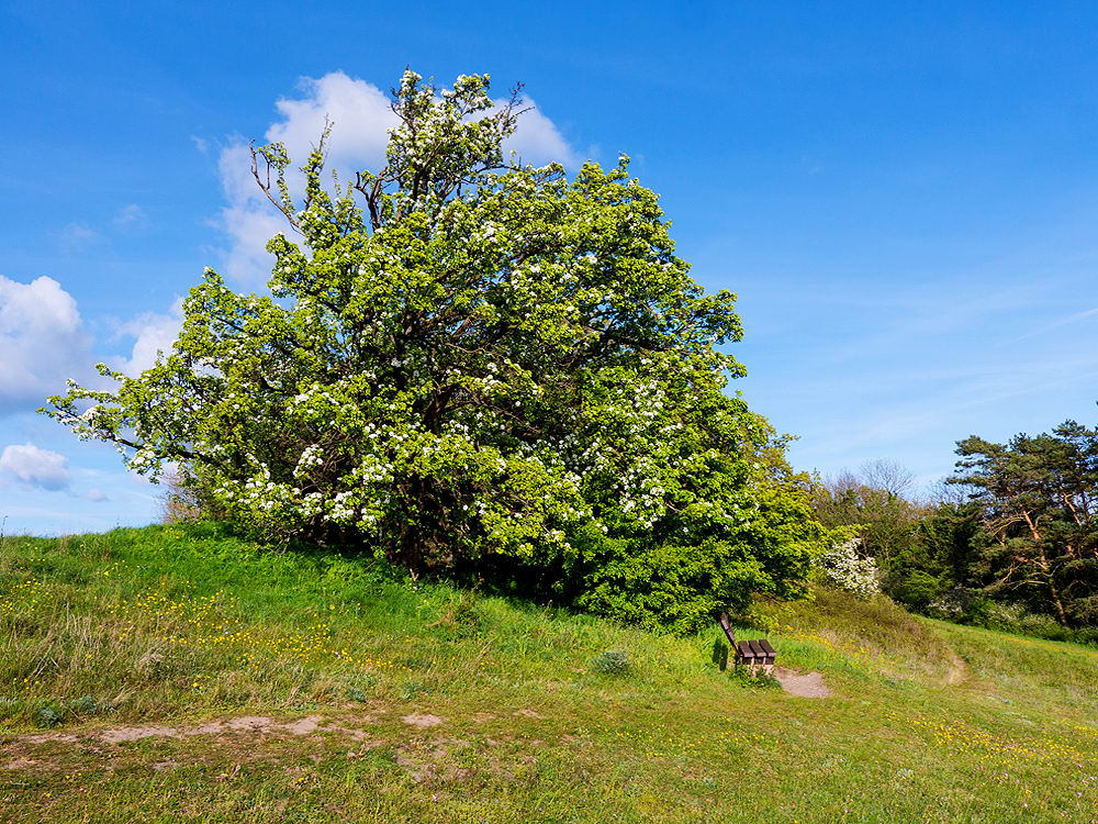 zur &Uuml;bersicht Rast und Ruh 6