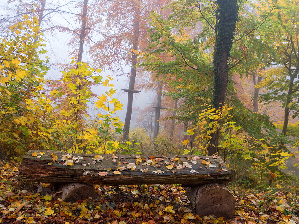 zur &Uuml;bersicht Rast und Ruh 7