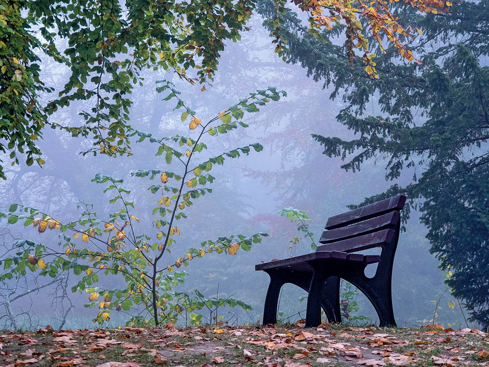 zur &Uuml;bersicht Rast und Ruh 7