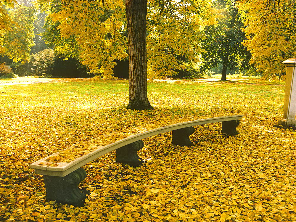 zur &Uuml;bersicht Rast und Ruh 7