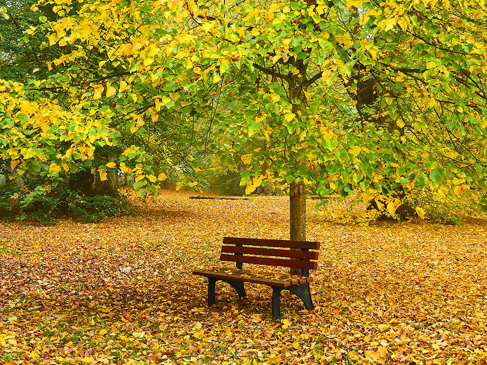 zur &Uuml;bersicht Rast und Ruh 7