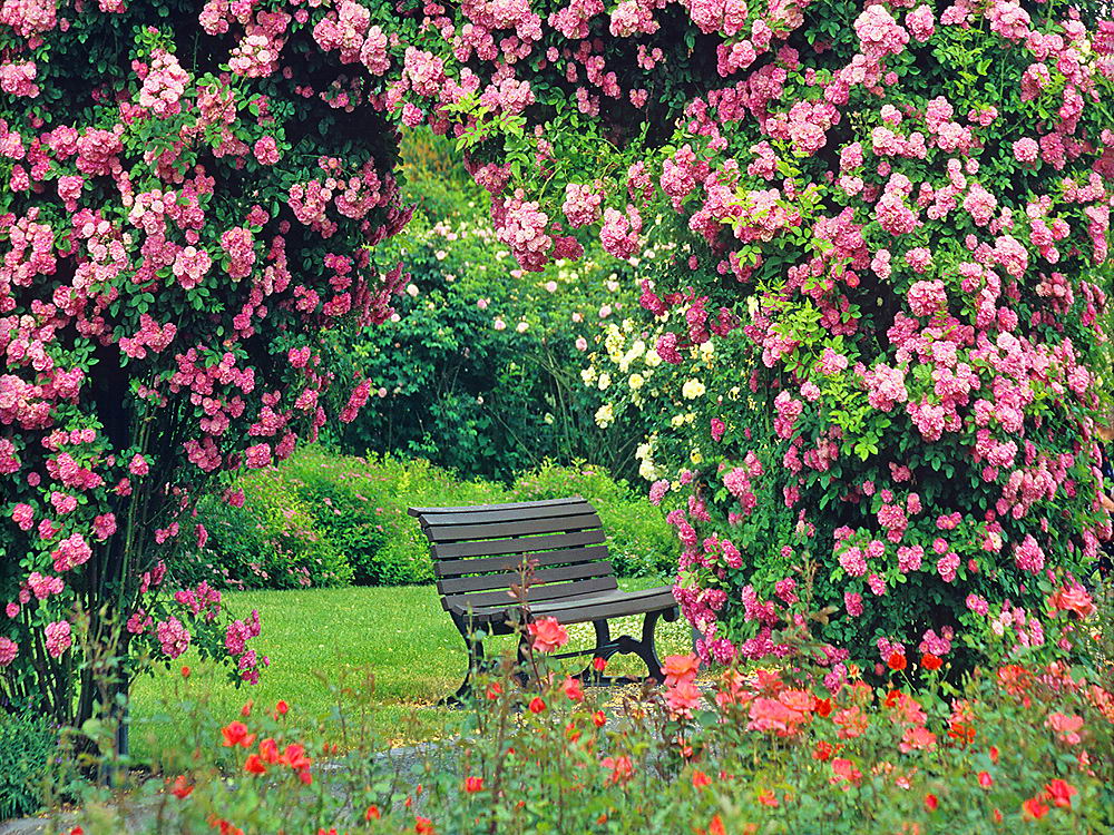 zur &Uuml;bersicht Rast und Ruh 8