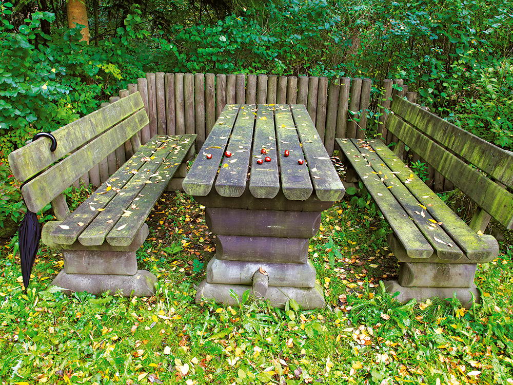 zur &Uuml;bersicht Rast und Ruh 9