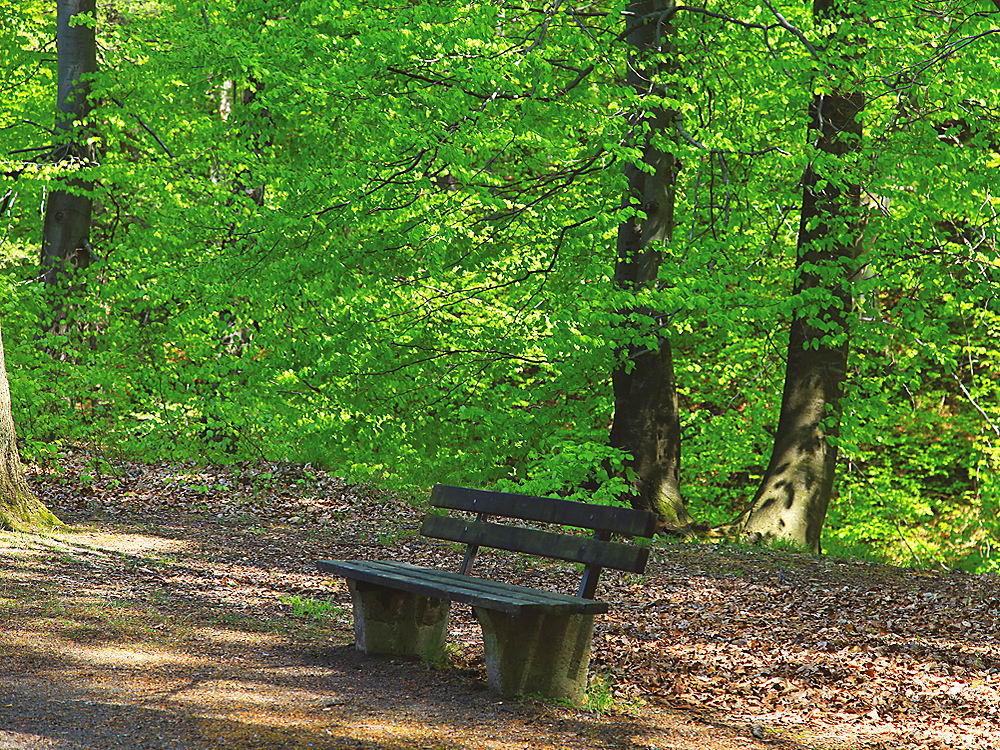 zur &Uuml;bersicht Rast und Ruh 9