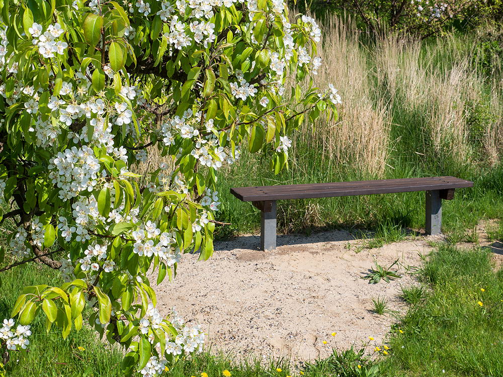 zur &Uuml;bersicht Rast und Ruh 10