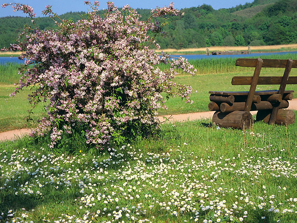 zur &Uuml;bersicht Rast und Ruh 11
