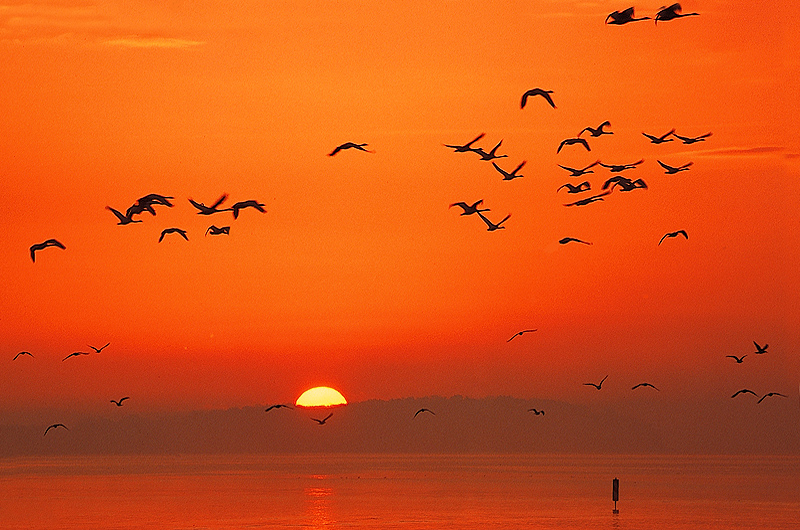 zur &Uuml;bersicht R&uuml;gen 2