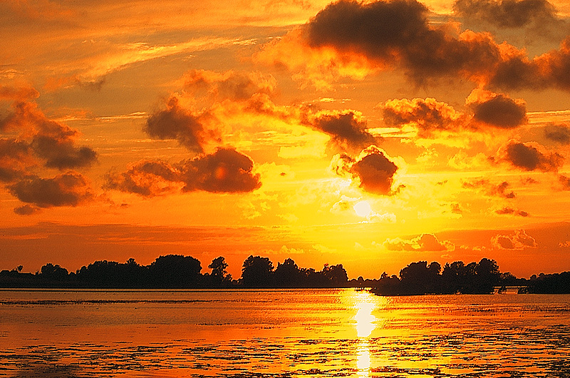 zur &Uuml;bersicht R&uuml;gen 2