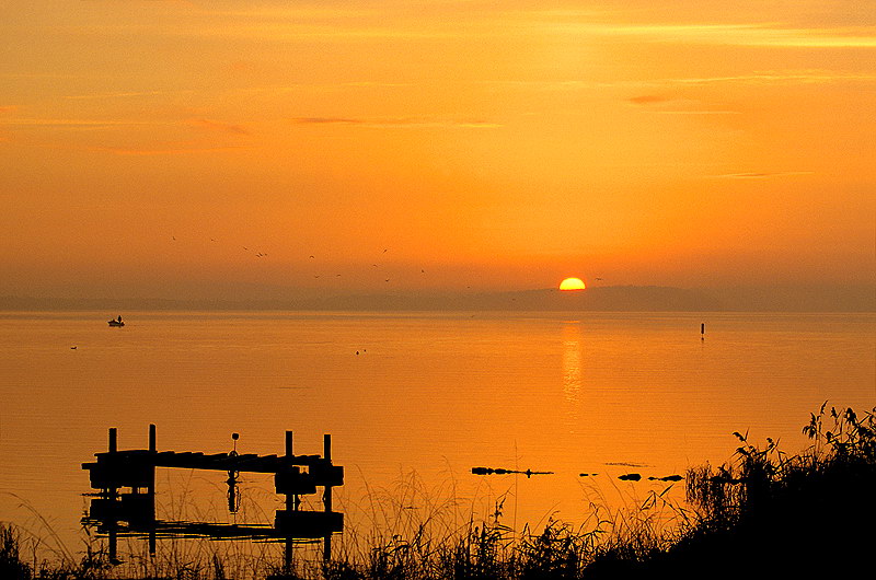 zur &Uuml;bersicht R&uuml;gen 2