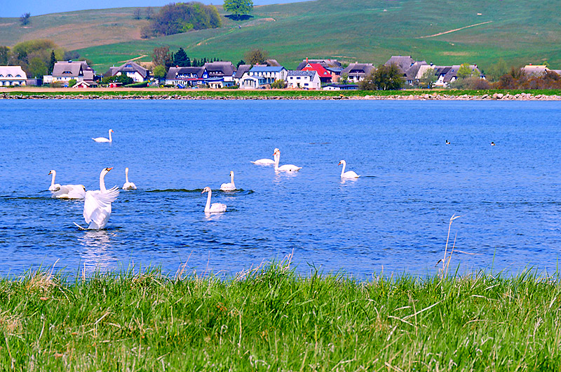 zur &Uuml;bersicht R&uuml;gen 3
