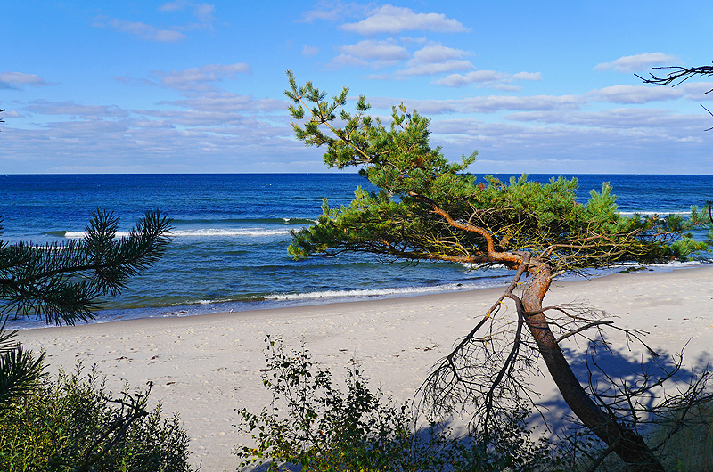 zur &Uuml;bersicht R&uuml;gen 3